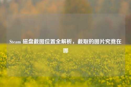 Steam 磁盘截图位置全解析，截取的图片究竟在哪