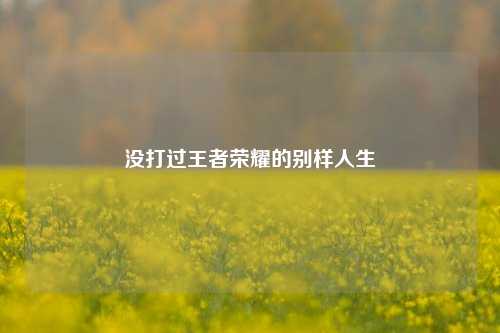 没打过王者荣耀的别样人生