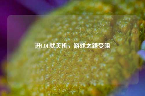 进LOL就关机，游戏之路受阻