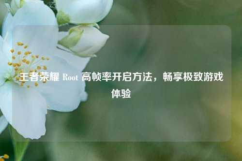 王者荣耀 Root 高帧率开启方法，畅享极致游戏体验