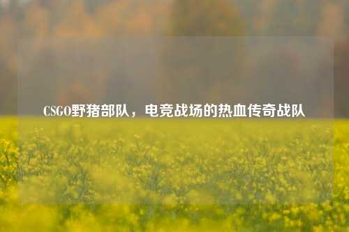 CSGO野猪部队，电竞战场的热血传奇战队