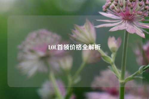 LOL首领价格全解析