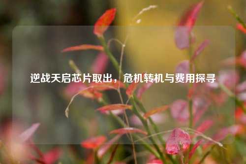 逆战天启芯片取出，危机转机与费用探寻