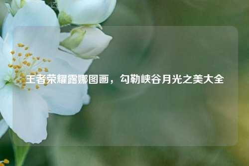 王者荣耀露娜图画,勾勒峡谷月光之美大全