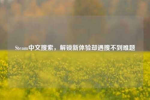 Steam中文搜索，解锁新体验却遇搜不到难题