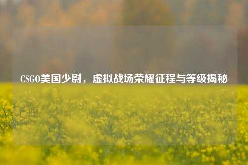 CSGO美国少尉，虚拟战场荣耀征程与等级揭秘