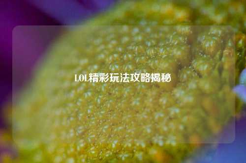 LOL精彩玩法攻略揭秘