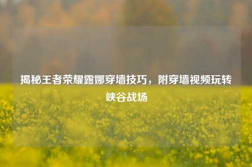 揭秘王者荣耀露娜穿墙技巧，附穿墙视频玩转峡谷战场