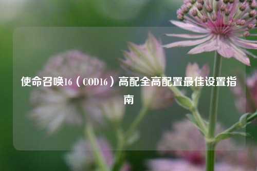 使命召唤16（COD16）高配全高配置最佳设置指南