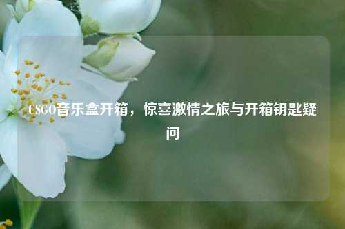 CSGO音乐盒开箱，惊喜激情之旅与开箱钥匙疑问