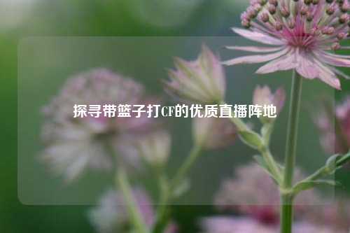 探寻带篮子打CF的优质直播阵地