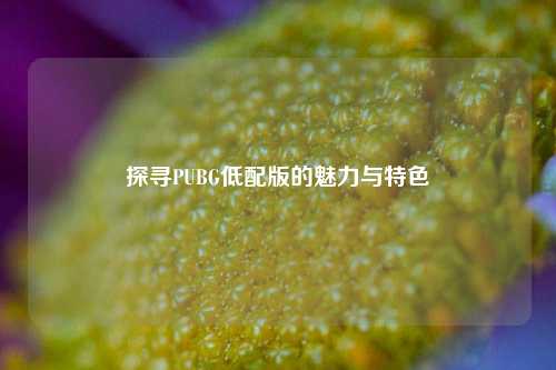 探寻PUBG低配版的魅力与特色