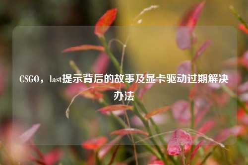 CSGO，last提示背后的故事及显卡驱动过期解决办法