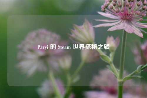 Paryi 的 Steam 世界探秘之旅