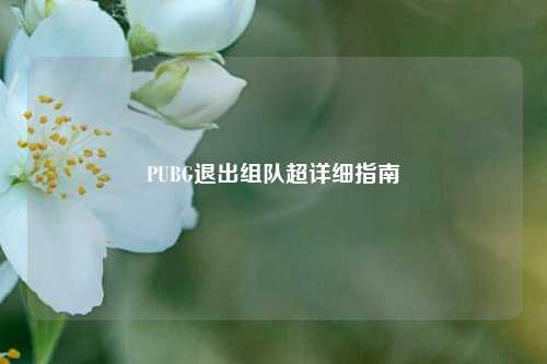 PUBG退出组队超详细指南