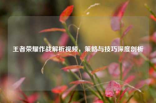 王者荣耀作战解析视频，策略与技巧深度剖析