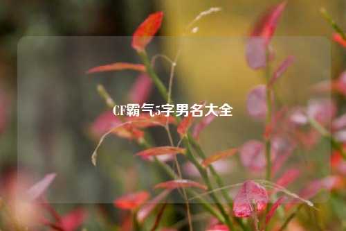 CF霸气5字男名大全