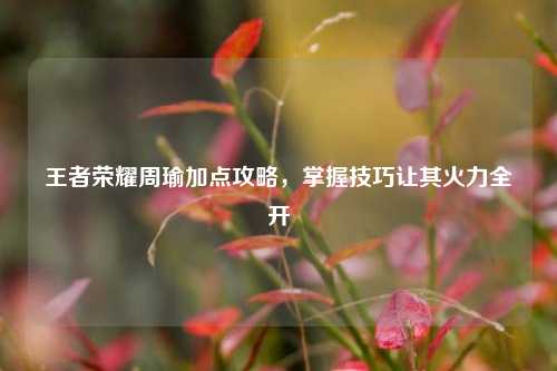 王者荣耀周瑜加点攻略,掌握技巧让其火力全开