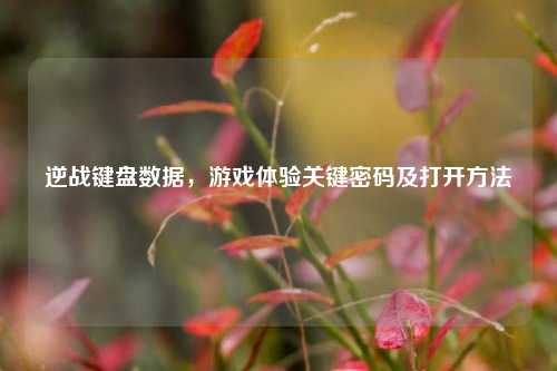 逆战键盘数据,游戏体验关键密码及打开方法