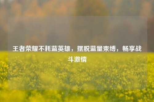 王者荣耀不耗蓝英雄，摆脱蓝量束缚，畅享战斗激情
