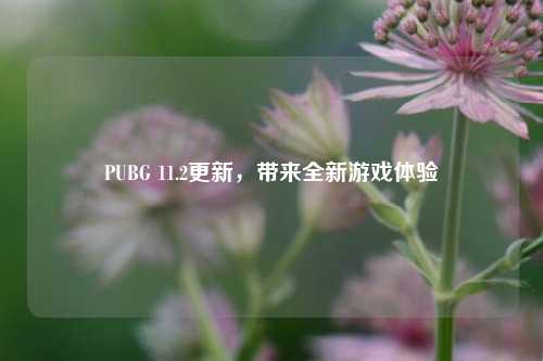 PUBG 11.2更新,带来全新游戏体验