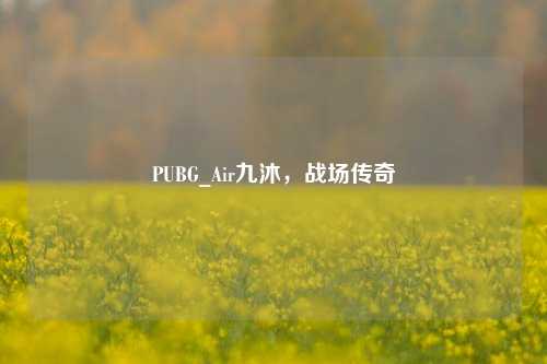PUBG_Air九沐，战场传奇