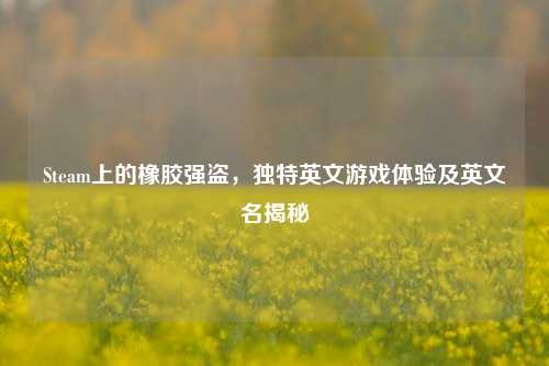 Steam上的橡胶强盗,独特英文游戏体验及英文名揭秘