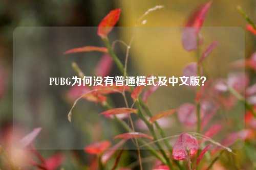PUBG为何没有普通模式及中文版?