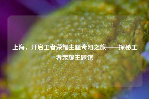 上海，开启王者荣耀主题奇幻之旅——探秘王者荣耀主题馆