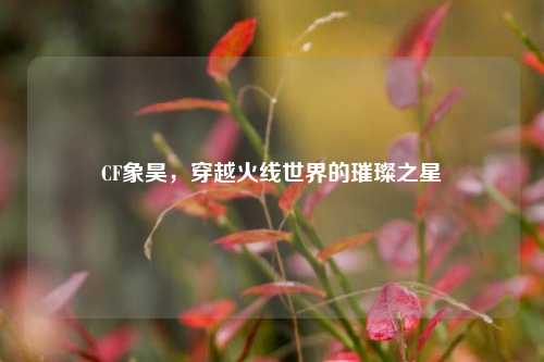 CF象昊，穿越火线世界的璀璨之星