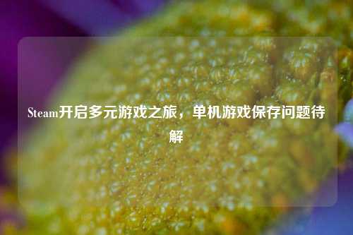 Steam开启多元游戏之旅,单机游戏保存问题待解
