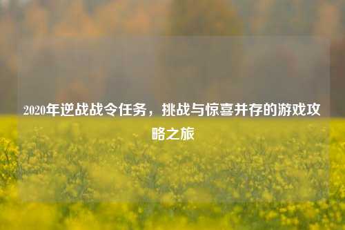 2020年逆战战令任务，挑战与惊喜并存的游戏攻略之旅