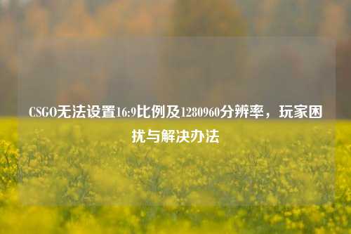 CSGO无法设置16:9比例及1280960分辨率,玩家困扰与解决办法