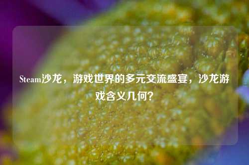 Steam沙龙,游戏世界的多元交流盛宴,沙龙游戏含义几何?