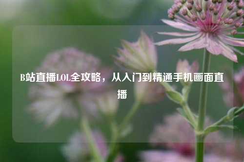 B站直播LOL全攻略,从入门到精通手机画面直播