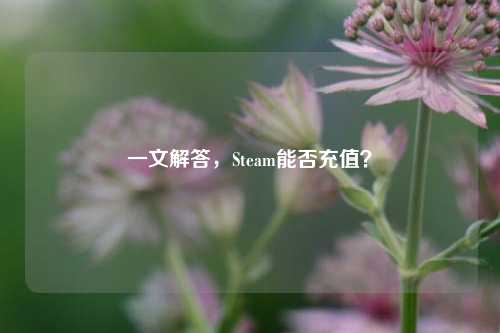 一文解答,Steam能否充值?