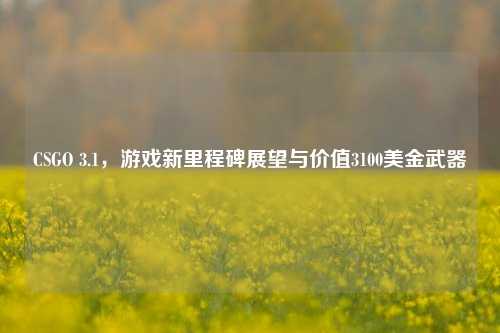 CSGO 3.1，游戏新里程碑展望与价值3100美金武器