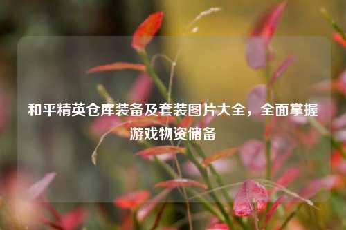 和平精英仓库装备及套装图片大全，全面掌握游戏物资储备