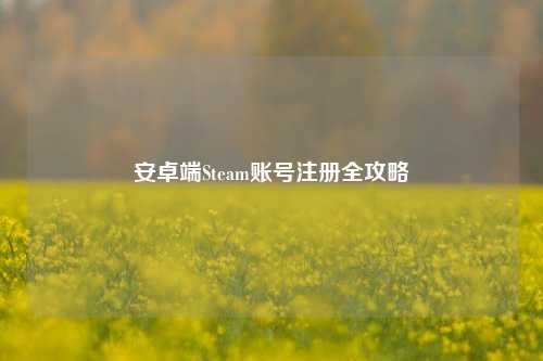 安卓端Steam账号注册全攻略