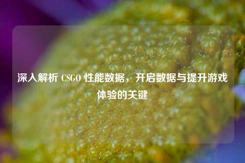 深入解析 CSGO 性能数据，开启数据与提升游戏体验的关键