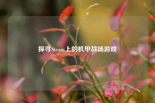 探寻Steam上的机甲战场游戏