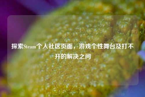 探索Steam个人社区页面，游戏个性舞台及打不开的解决之问