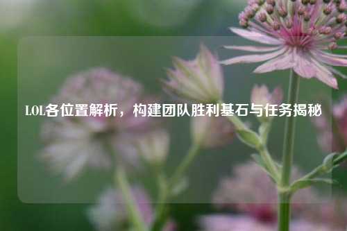 LOL各位置解析，构建团队胜利基石与任务揭秘