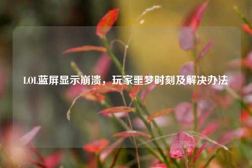 LOL蓝屏显示崩溃，玩家噩梦时刻及解决办法