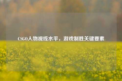 CSGO人物视线水平,游戏制胜关键要素