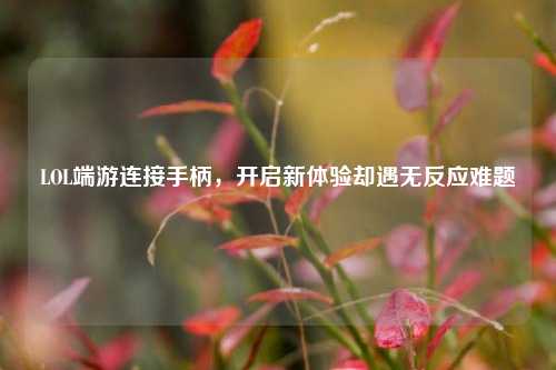LOL端游连接手柄,开启新体验却遇无反应难题