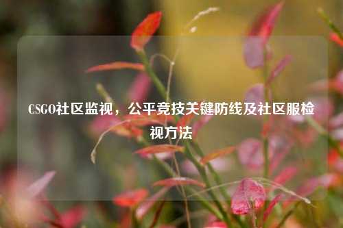 CSGO社区监视，公平竞技关键防线及社区服检视方法