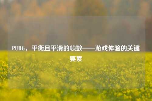 PUBG，平衡且平滑的帧数——游戏体验的关键要素