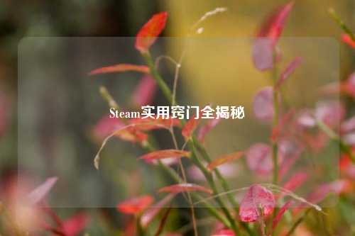 Steam实用窍门全揭秘