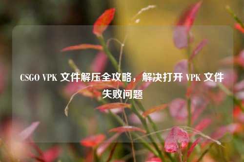 CSGO VPK 文件解压全攻略，解决打开 VPK 文件失败问题